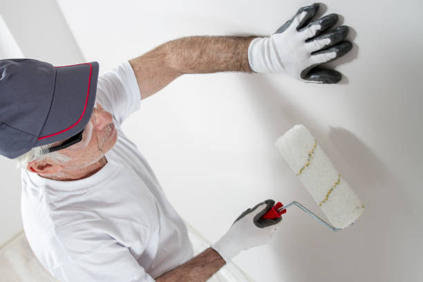Best Mold Odor Removal Services  in Huron, SD