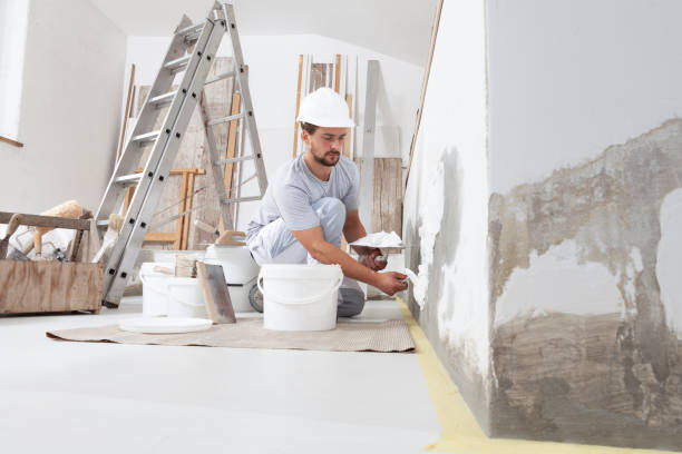 Reliable Huron, SD Mold Removal Solutions
