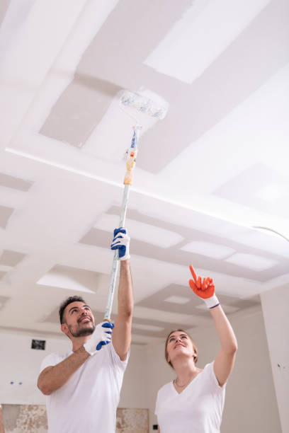 Best Environmental Consulting for Mold Prevention  in Huron, SD