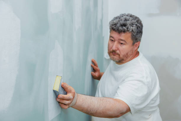Professional Mold Removal in Huron, SD