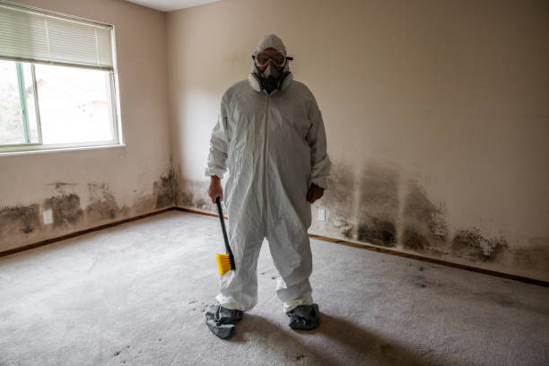 Asbestos and Lead Testing During Mold Inspection in Huron, SD