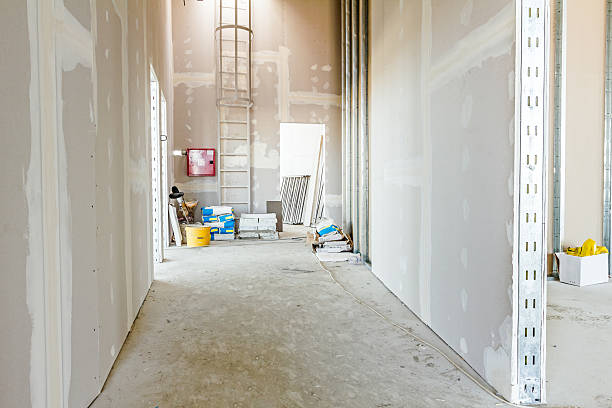 Best Industrial Mold Remediation  in Huron, SD